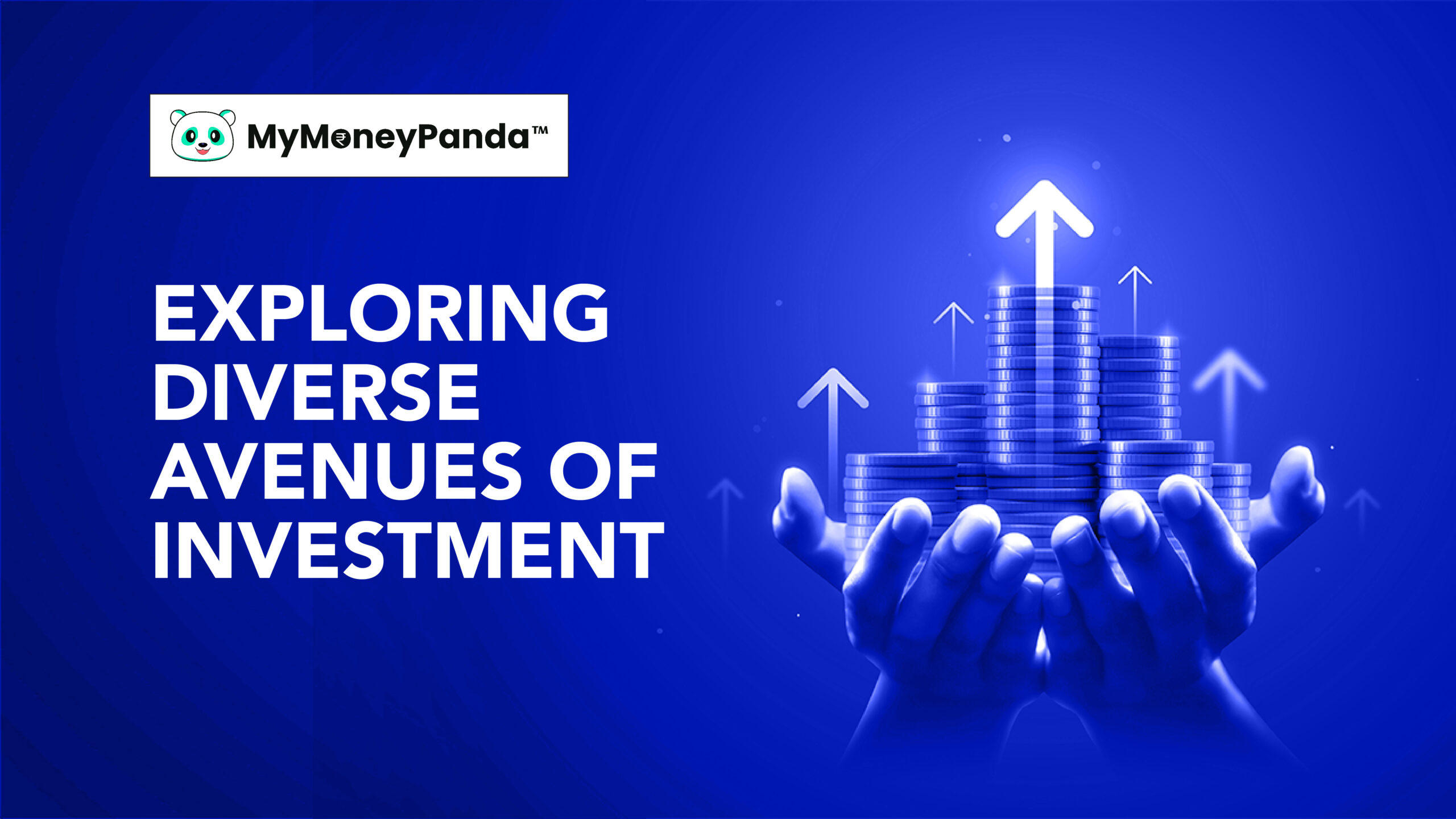 Exploring Diverse Avenues of Investment